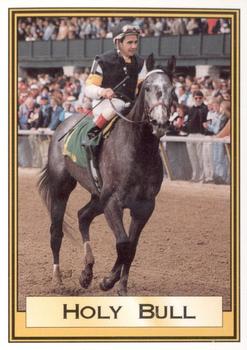 1995 Horse Star Holy Bull #6 Holy Bull Front